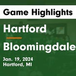 Basketball Game Recap: Bloomingdale Cardinals vs. New Buffalo Bison