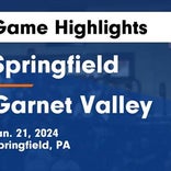 Springfield's win ends three-game losing streak on the road