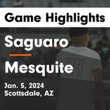 Mesquite vs. Saguaro
