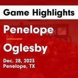 Basketball Game Recap: Penelope Wolverines vs. Oakwood Panthers