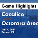 Octorara Area extends road winning streak to five