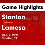 Basketball Game Preview: Stanton Buffaloes vs. Alpine Bucks