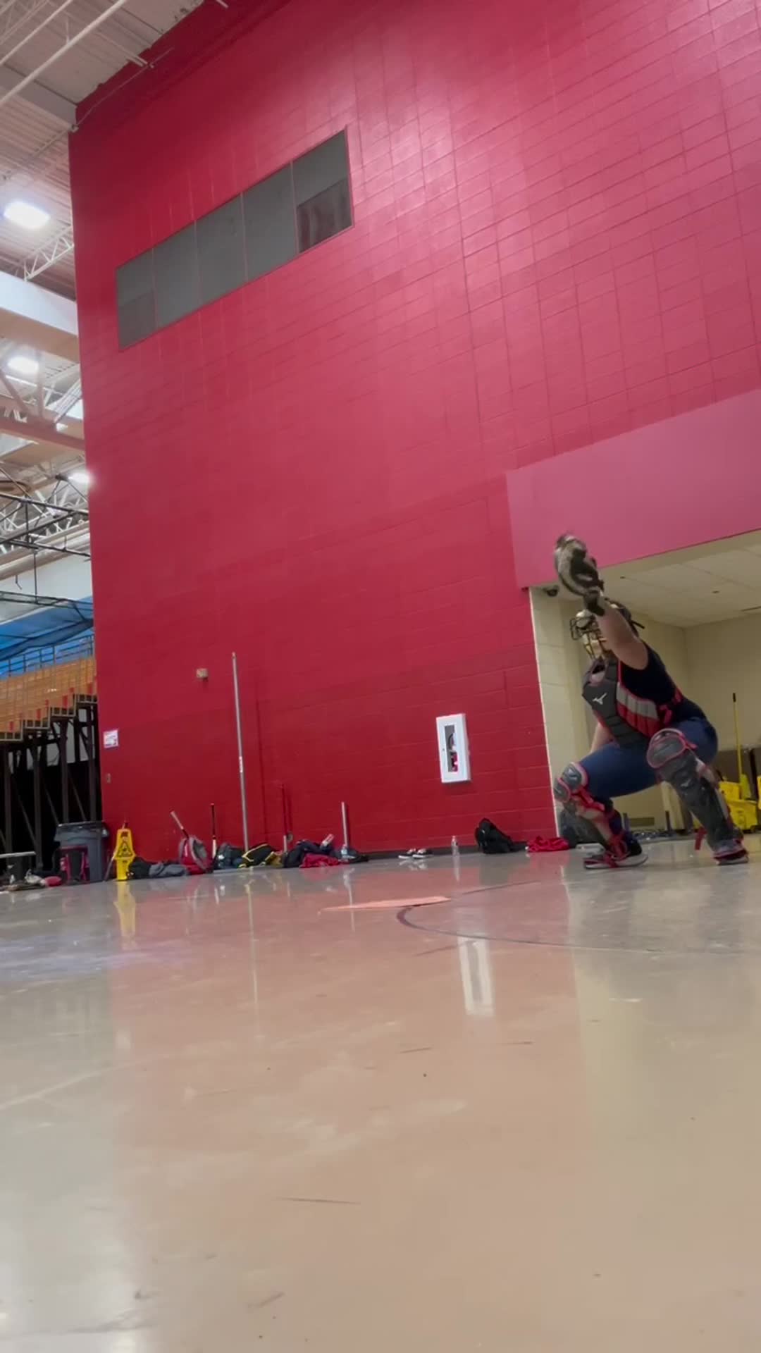 Baseball Recap: East Chicago Central Find Success