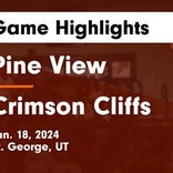 Basketball Game Preview: Pine View Panthers vs. Crimson Cliffs Mustangs
