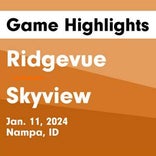 Basketball Game Recap: Skyview Hawks vs. Emmett Huskies