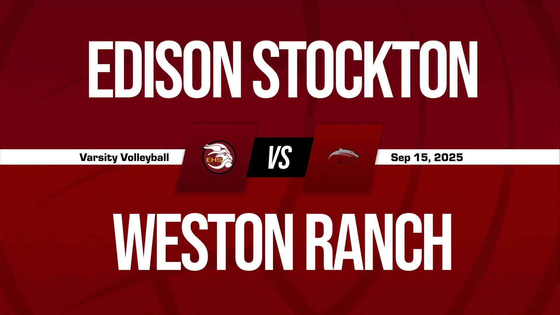 Volleyball Game Preview: Edison Vikings vs. Weston Ranch Cougars
