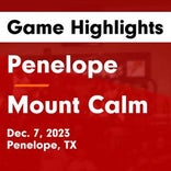 Basketball Game Preview: Mount Calm vs. Memorial Christian Academy Warriors