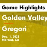 Gregori vs. Golden Valley