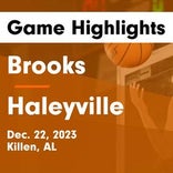 Basketball Game Recap: Haleyville Lions vs. Lawrence County Red Devils