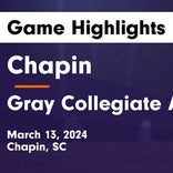Soccer Recap: Gray Collegiate Academy finds playoff glory versus Greer Middle College