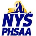 NYSPHSAA boys volleyball finals preview
