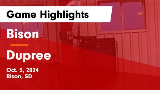 Volleyball Recap: Bison Comes Up Short