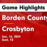 Borden County takes down Whitharral in a playoff battle