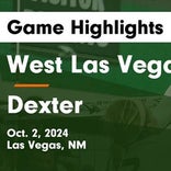 Volleyball Recap: Nine Straight Road Wins for Dexter