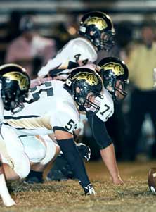 Russellville's Golden Tigers areone of 10 Alabama schools withgolden used as an adjective in themascot name.