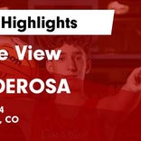 Basketball Game Preview: Castle View Sabercats vs. Regis Jesuit Raiders