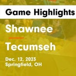 Tecumseh suffers fourth straight loss at home