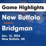 Basketball Game Preview: New Buffalo Bison vs. River Valley Mustangs