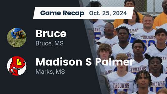 Football Game Preview: Palmer Dragons vs. Calhoun City Wildcats