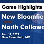 Basketball Game Preview: New Bloomfield Wildcats vs. Harrisburg Bulldogs