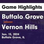 Basketball Game Recap: Buffalo Grove Bison vs. Saint Viator Lions