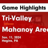Basketball Game Preview: Mahanoy Area Golden Bears vs. Pottsville Crimson Tide