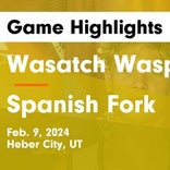 Basketball Game Preview: Wasatch Wasps vs. Maple Mountain Golden Eagles