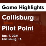 Basketball Game Preview: Callisburg Wildcats vs. Boyd Yellowjackets
