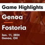 Basketball Game Preview: Genoa Area Comets vs. Otsego Knights