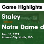 Basketball Game Preview: Staley Falcons vs. Lee's Summit Tigers