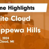 Basketball Game Recap: Chippewa Hills Warriors vs. Shepherd Bluejays