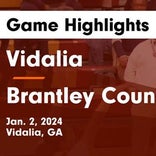 Basketball Game Recap: Brantley County Herons vs. Appling County Pirates