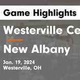 Basketball Game Recap: Westerville Central Warhawks vs. Westerville South Wildcats
