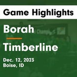 Basketball Game Preview: Timberline Wolves vs. Eagle Mustangs