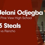 Basketball Game Preview: Pine View Panthers vs. Snow Canyon Warriors