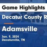 Basketball Game Recap: Adamsville Cardinals vs. Riverside Panthers