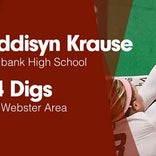 Softball Recap: Addisyn Krause can't quite lead Milbank over Castlewood