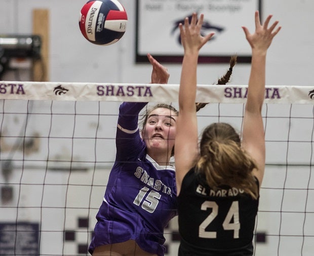 Sophie Wood, Shasta