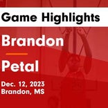Basketball Game Recap: Petal Panthers vs. Brandon Bulldogs