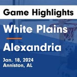 Basketball Game Recap: Alexandria Valley Cubs vs. Jacksonville Golden Eagles