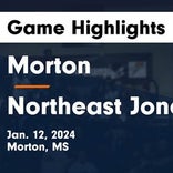 Basketball Game Preview: Morton Panthers vs. Forest Bearcats