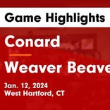 Basketball Game Preview: Conard Red Wolves vs. Northwest Catholic Lions