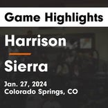 Basketball Game Preview: Harrison Panthers vs. Mesa Ridge Grizzlies
