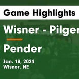 Basketball Game Preview: Wisner-Pilger Gators vs. Laurel-Concord-Coleridge Bears