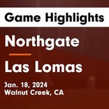 Soccer Game Preview: Northgate vs. Campolindo
