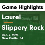 Basketball Game Preview: Laurel Spartans vs. Ellwood City Wolverine