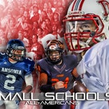 MaxPreps 2013 Small Schools All-American Football Teams