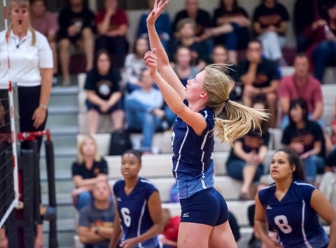 The state volleyball tournament begins for all five classifications at 8 a.m. Friday at the Denver Coliseum. Cherokee Trail and junior outside hitter Shannon Webb could make it tough on the favorites.