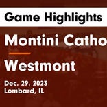 Basketball Game Recap: Westmont Sentinels vs. St. Anne Cardinals