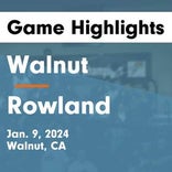 Basketball Game Recap: Rowland Raiders vs. Walnut Mustangs